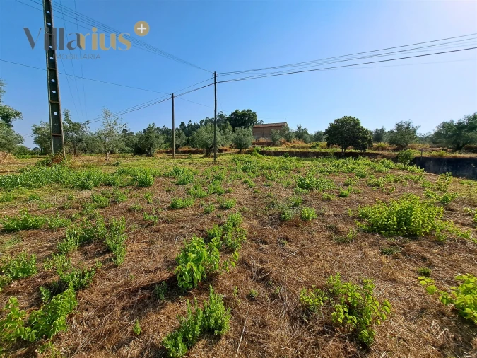 Terreno para Venda em Serra e Junceira Foto 22