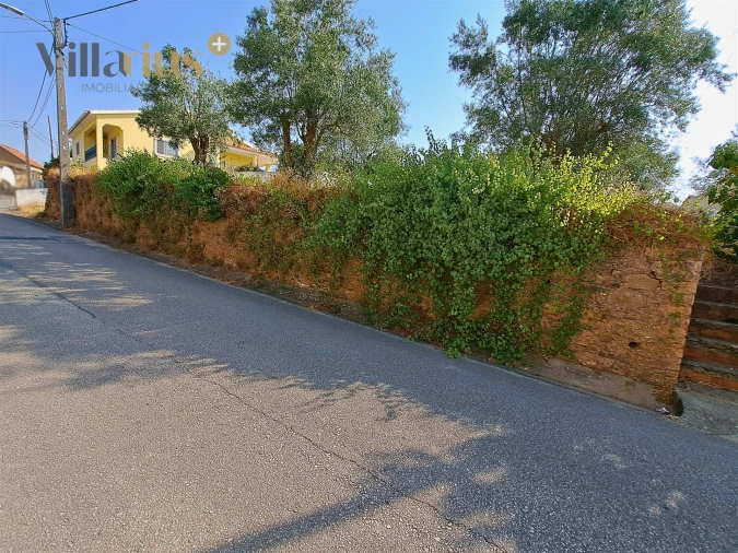 Terreno para Venda em Serra e Junceira Foto 4