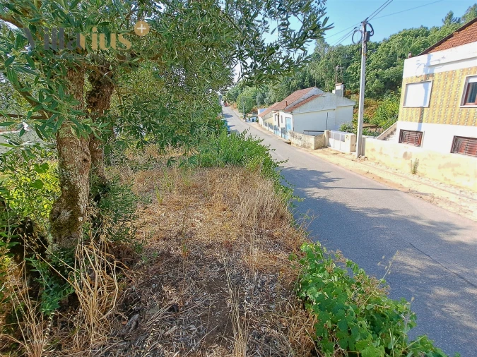 Terreno para Venda em Serra e Junceira Foto 2