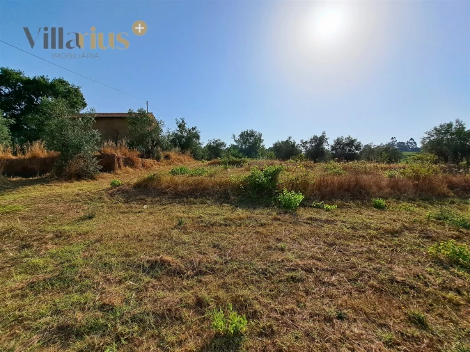 Terreno para Venda em Serra e Junceira Foto 20