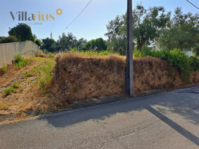 Terreno para Venda em Serra e Junceira Foto 26