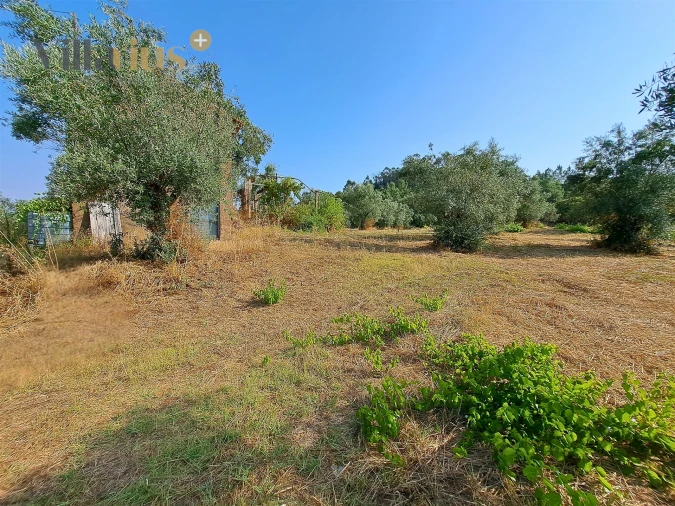 Terreno para Venda em Serra e Junceira Foto 16