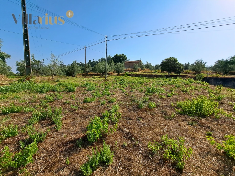 Terreno para Venda em Serra e Junceira Foto 22