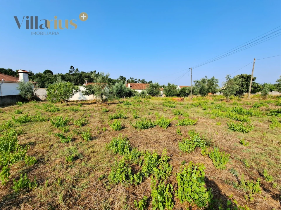 Terreno para Venda em Serra e Junceira Foto 1