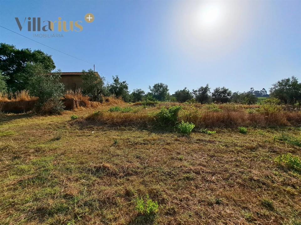 Terreno para Venda em Serra e Junceira Foto 20