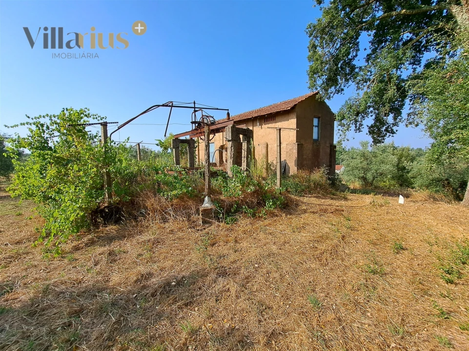 Terreno para Venda em Serra e Junceira Foto 9