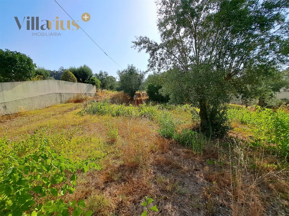Terreno para Venda em Serra e Junceira Foto 25