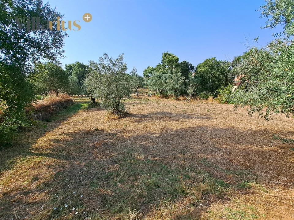 Terreno para Venda em Serra e Junceira Foto 18