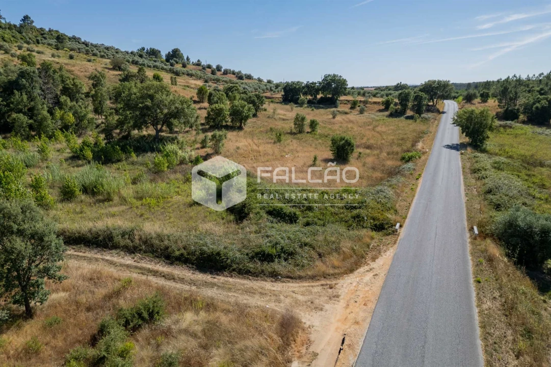 Terreno Agricola ou Rústico para Venda em Azoia de Cima e Tremês Foto 2