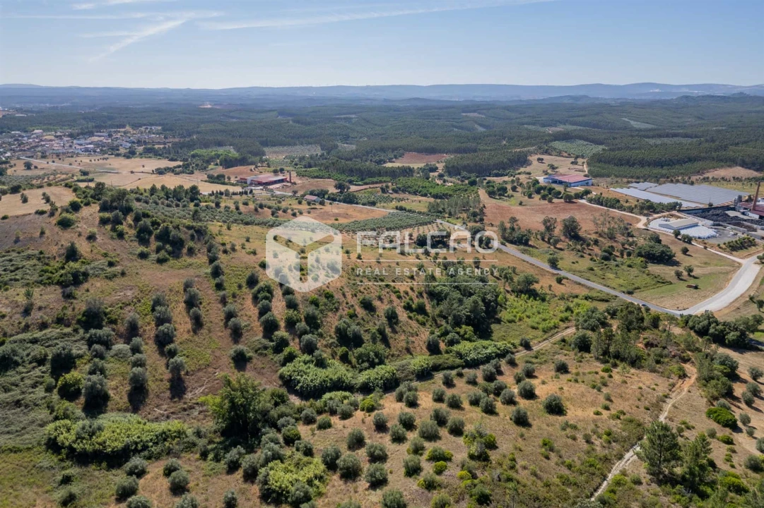 Terreno Agricola ou Rústico para Venda em Azoia de Cima e Tremês Foto 25