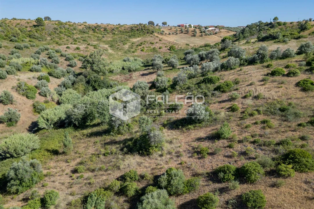 Terreno Agricola ou Rústico para Venda em Azoia de Cima e Tremês Foto 34