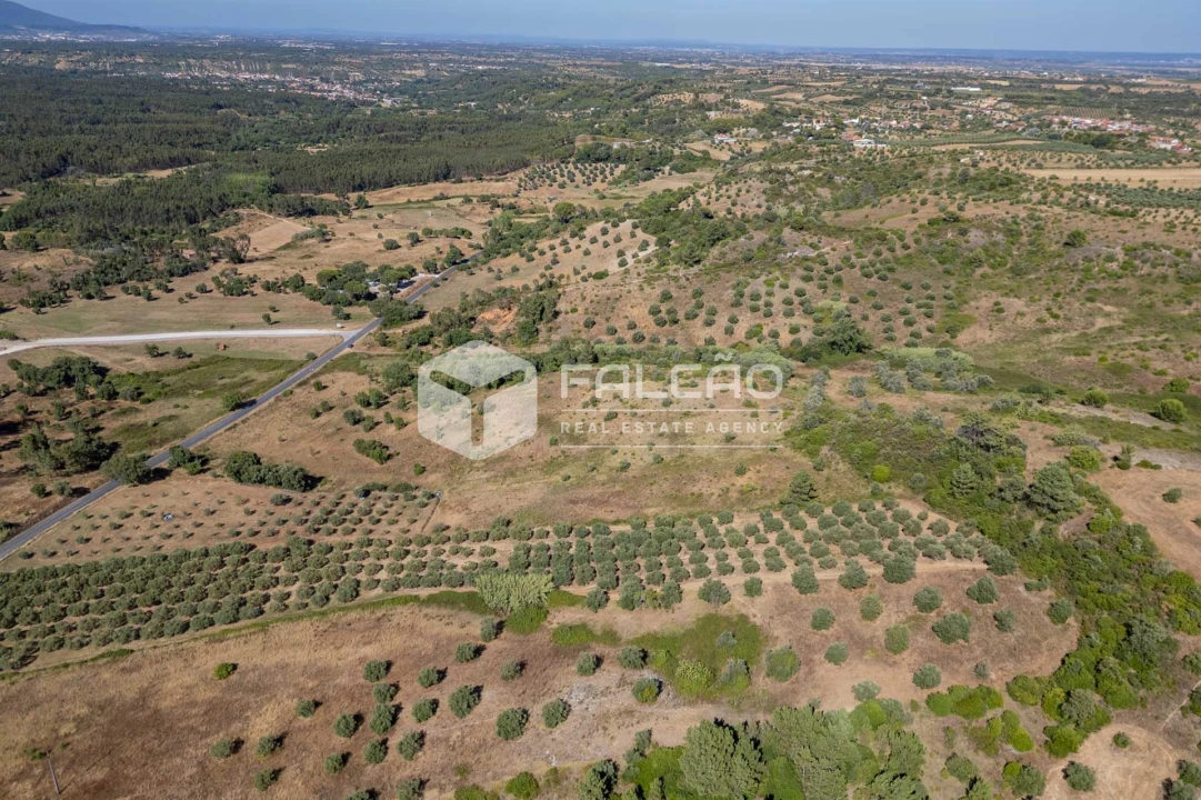 Terreno Agricola ou Rústico para Venda em Azoia de Cima e Tremês Foto 19