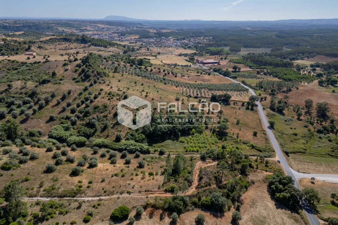 Terreno Agricola ou Rústico para Venda em Azoia de Cima e Tremês Foto 28