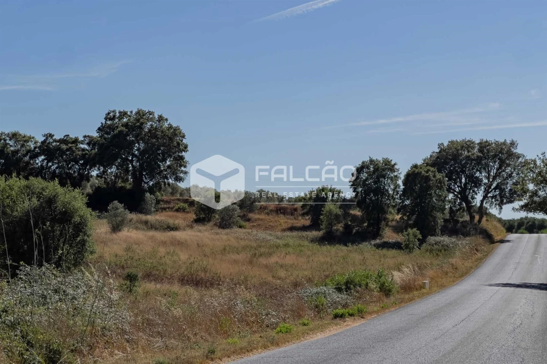 Terreno Agricola ou Rústico para Venda em Azoia de Cima e Tremês Foto 39