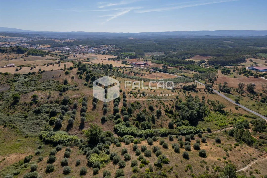 Terreno Agricola ou Rústico para Venda em Azoia de Cima e Tremês Foto 26