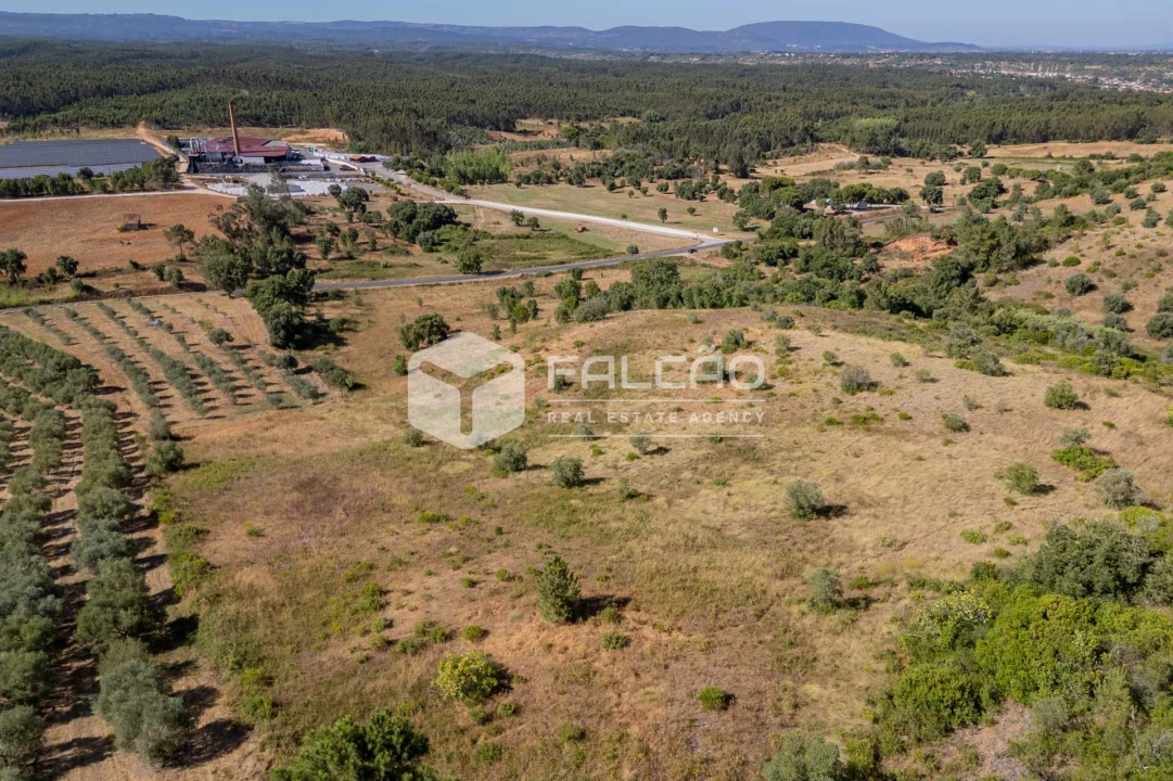 Terreno Agricola ou Rústico para Venda em Azoia de Cima e Tremês Foto 10