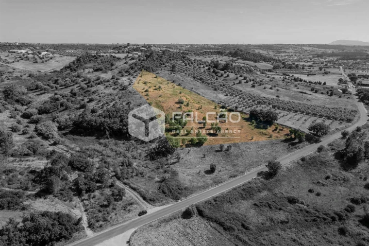 Terreno Agricola ou Rústico para Venda em Azoia de Cima e Tremês Foto 3