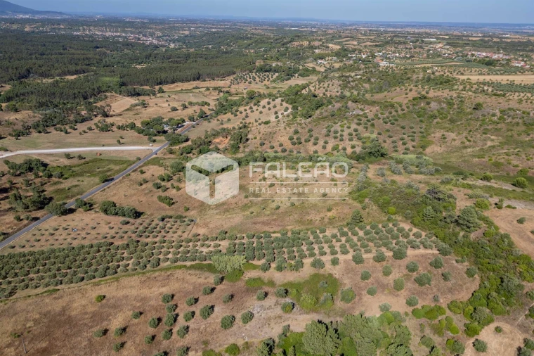 Terreno Agricola ou Rústico para Venda em Azoia de Cima e Tremês Foto 19