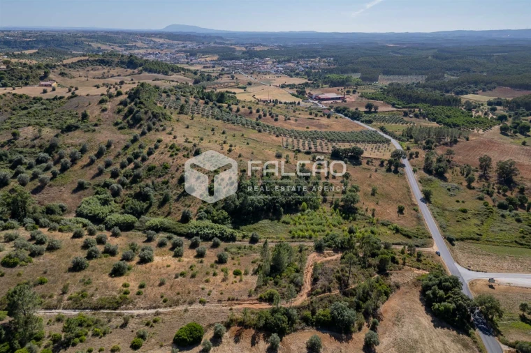 Terreno Agricola ou Rústico para Venda em Azoia de Cima e Tremês Foto 28