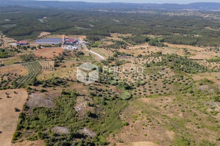 Terreno Agricola ou Rústico para Venda em Azoia de Cima e Tremês Foto 21