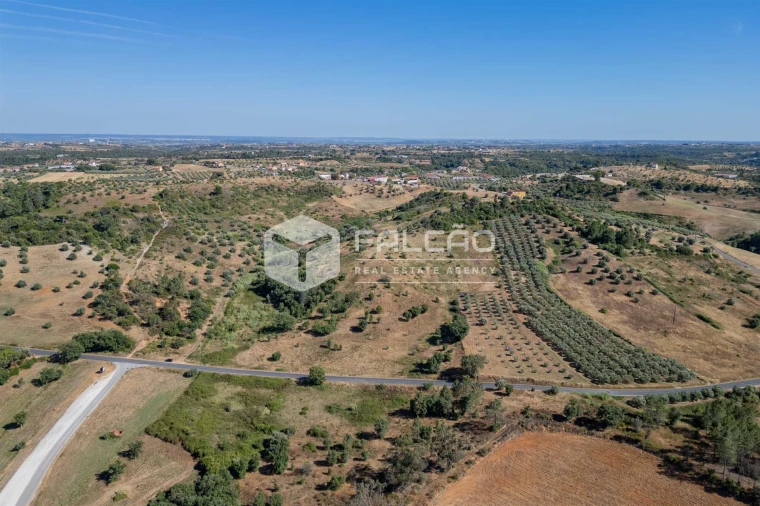 Terreno Agricola ou Rústico para Venda em Azoia de Cima e Tremês Foto 16