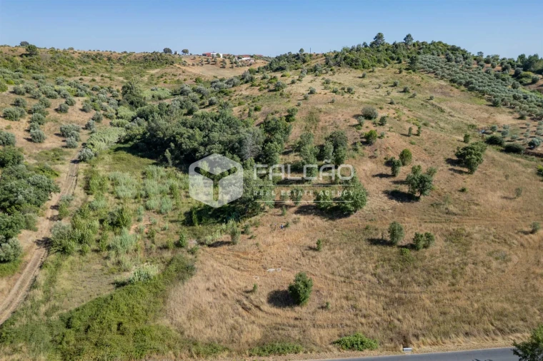 Terreno Agricola ou Rústico para Venda em Azoia de Cima e Tremês Foto 32