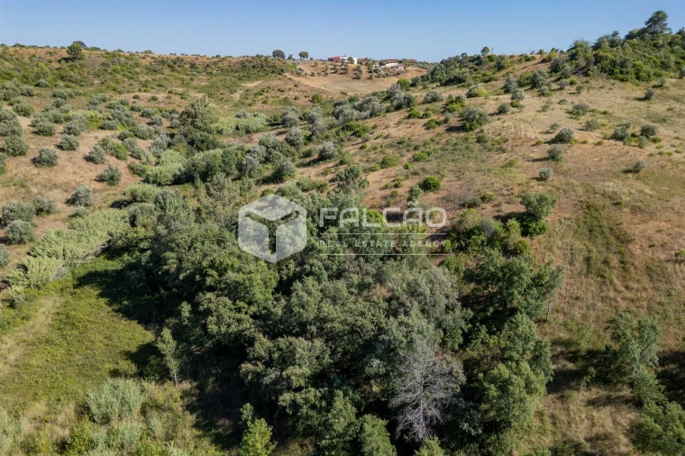 Terreno Agricola ou Rústico para Venda em Azoia de Cima e Tremês Foto 33