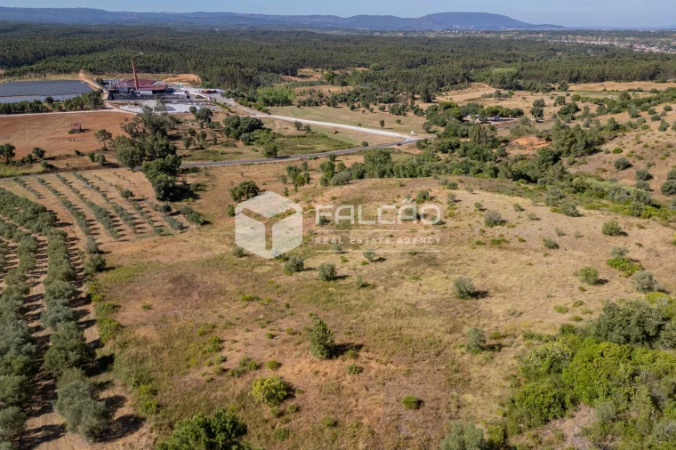 Terreno Agricola ou Rústico para Venda em Azoia de Cima e Tremês Foto 10