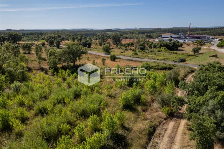 Terreno Agricola ou Rústico para Venda em Azoia de Cima e Tremês Foto 13