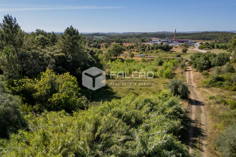 Terreno Agricola ou Rústico para Venda em Azoia de Cima e Tremês Foto 12