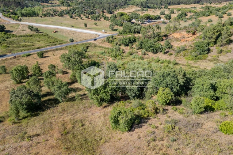 Terreno Agricola ou Rústico para Venda em Azoia de Cima e Tremês Foto 5
