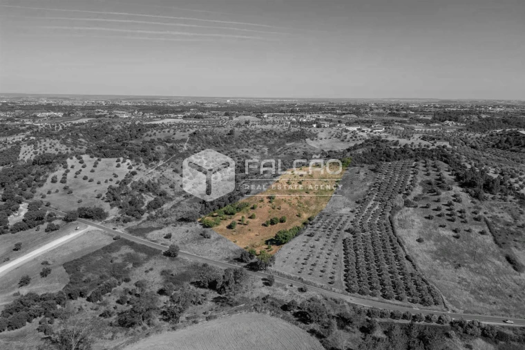 Terreno Agricola ou Rústico para Venda em Azoia de Cima e Tremês Foto 4