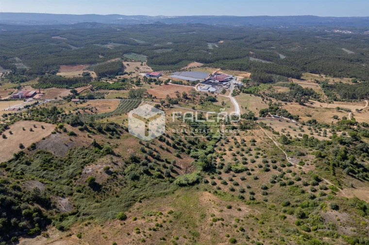 Terreno Agricola ou Rústico para Venda em Azoia de Cima e Tremês Foto 23