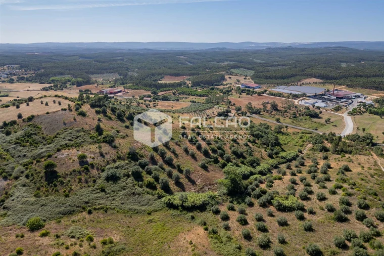 Terreno Agricola ou Rústico para Venda em Azoia de Cima e Tremês Foto 24