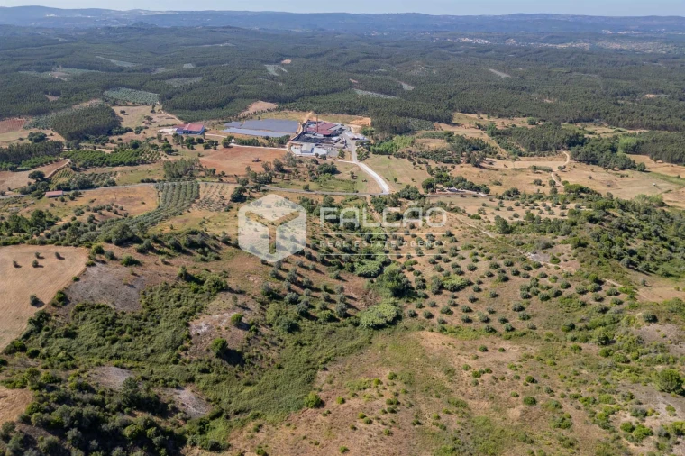 Terreno Agricola ou Rústico para Venda em Azoia de Cima e Tremês Foto 22