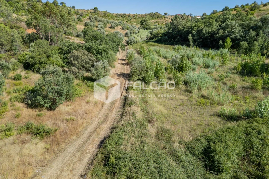 Terreno Agricola ou Rústico para Venda em Azoia de Cima e Tremês Foto 14