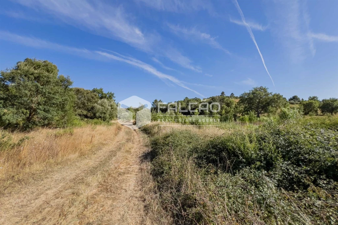 Terreno Agricola ou Rústico para Venda em Azoia de Cima e Tremês Foto 36