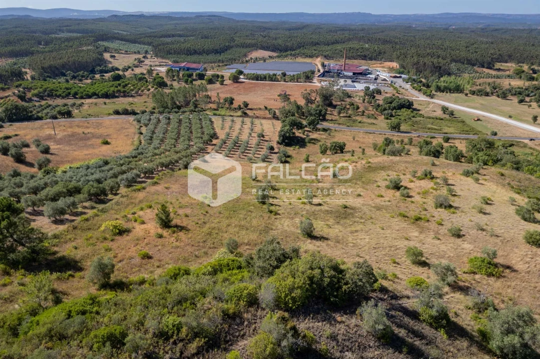 Terreno Agricola ou Rústico para Venda em Azoia de Cima e Tremês Foto 9