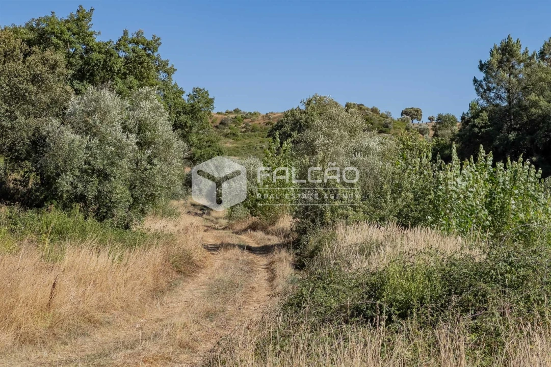 Terreno Agricola ou Rústico para Venda em Azoia de Cima e Tremês Foto 38