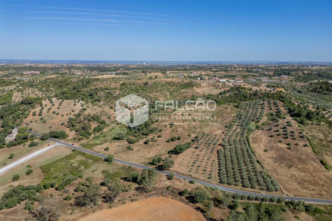 Terreno Agricola ou Rústico para Venda em Azoia de Cima e Tremês Foto 18