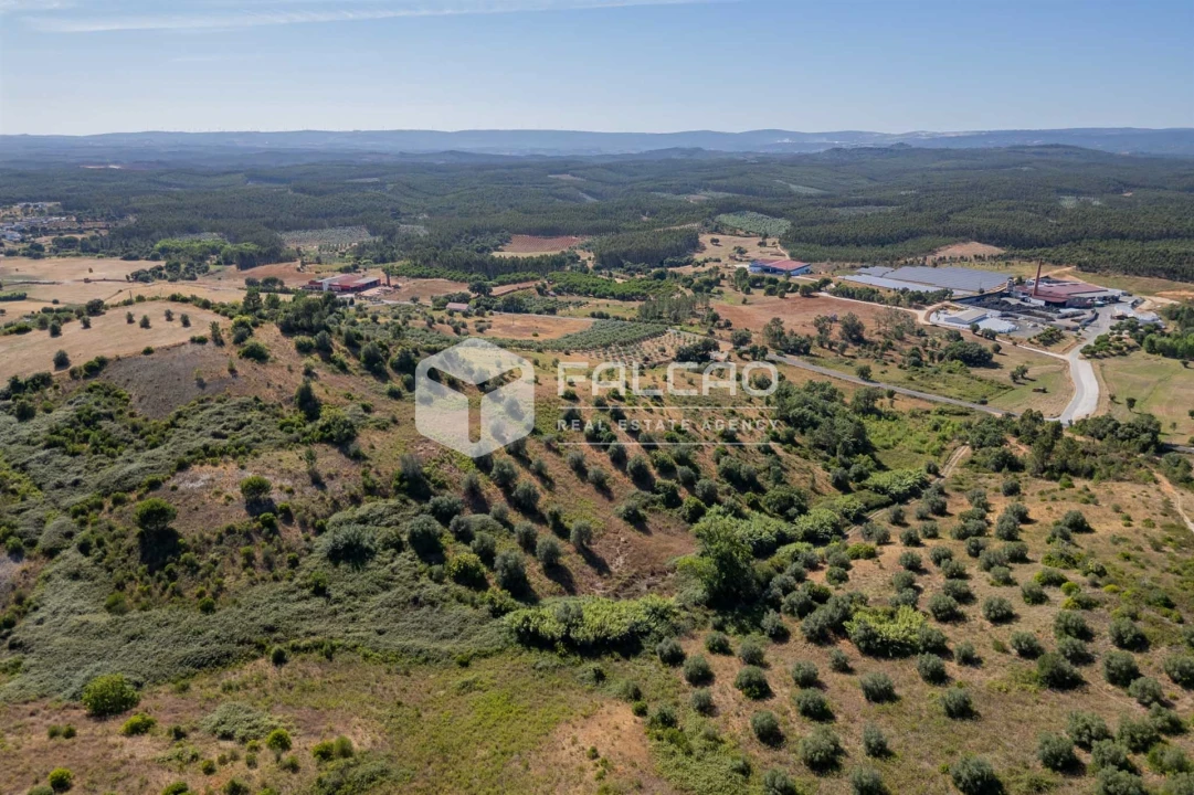 Terreno Agricola ou Rústico para Venda em Azoia de Cima e Tremês Foto 24