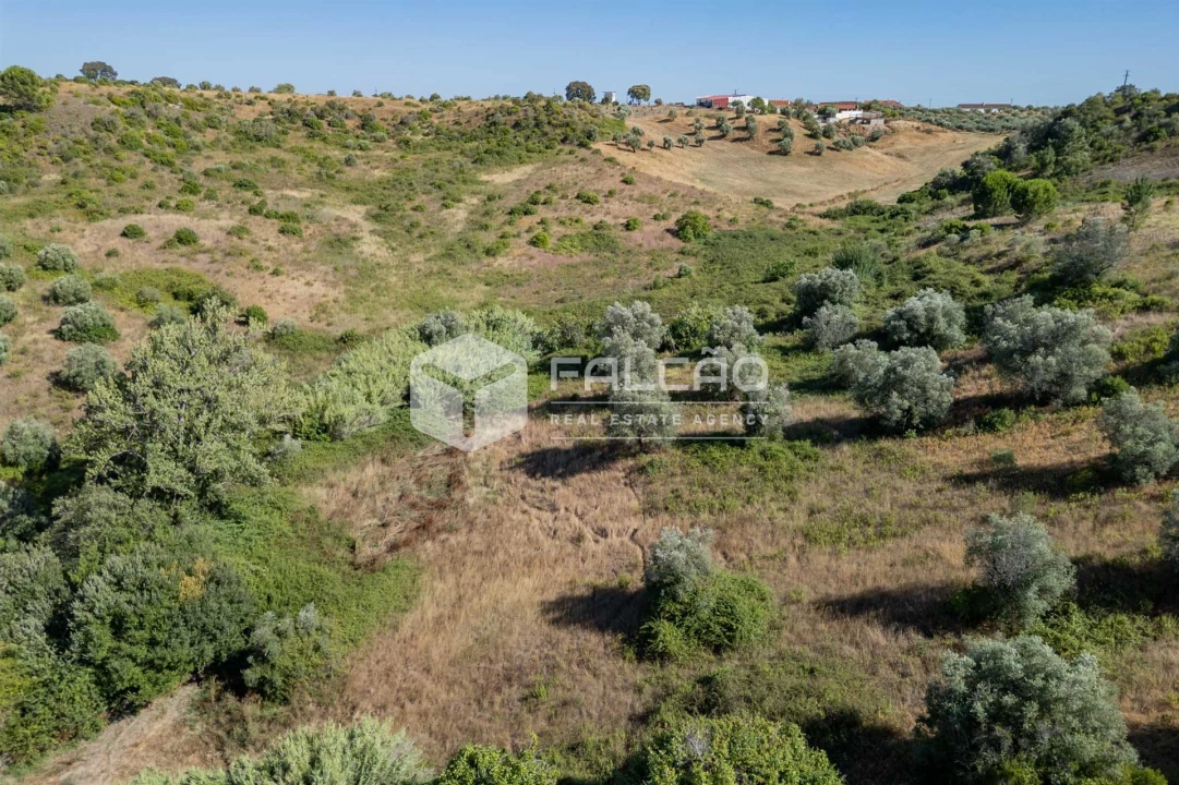 Terreno Agricola ou Rústico para Venda em Azoia de Cima e Tremês Foto 35