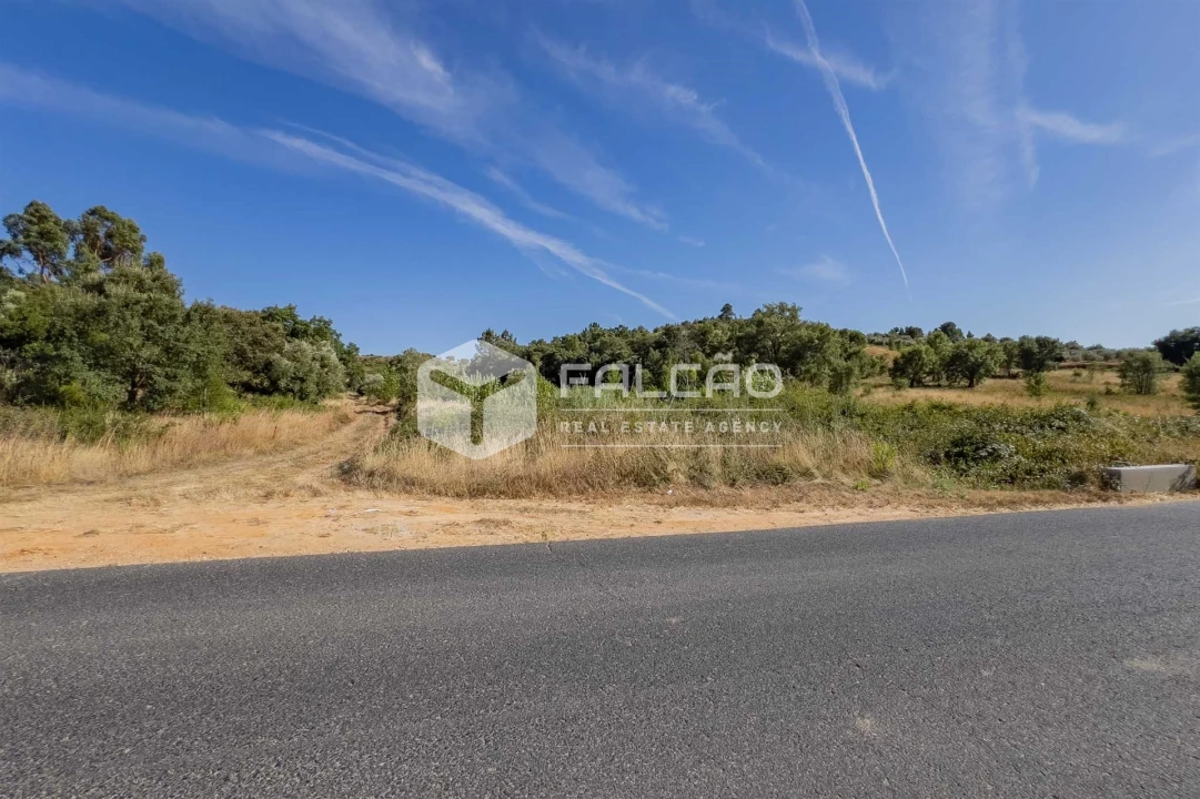 Terreno Agricola ou Rústico para Venda em Azoia de Cima e Tremês Foto 31
