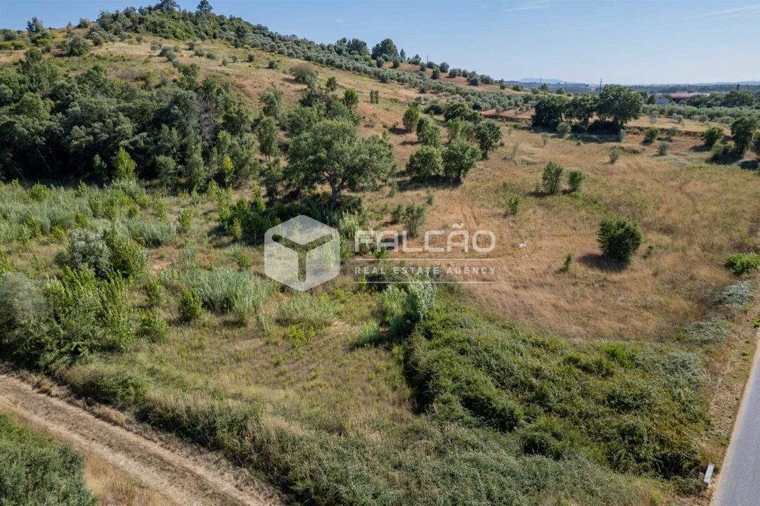 Terreno Agricola ou Rústico para Venda em Azoia de Cima e Tremês Foto 6