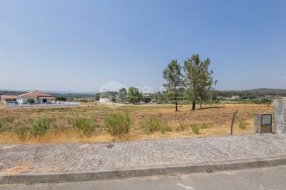 Terreno para Venda em Alcanede