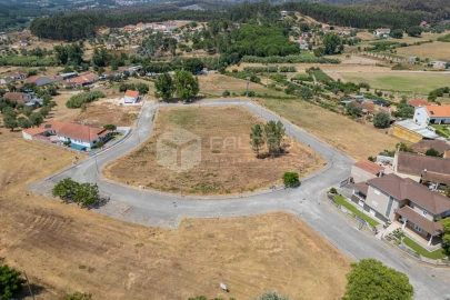 Terreno para Venda em Alcanede