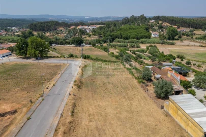 Terreno para Venda em Alcanede