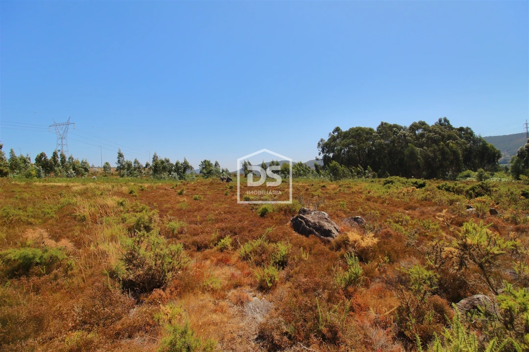 Terreno para Venda em Campo e Sobrado Foto 2