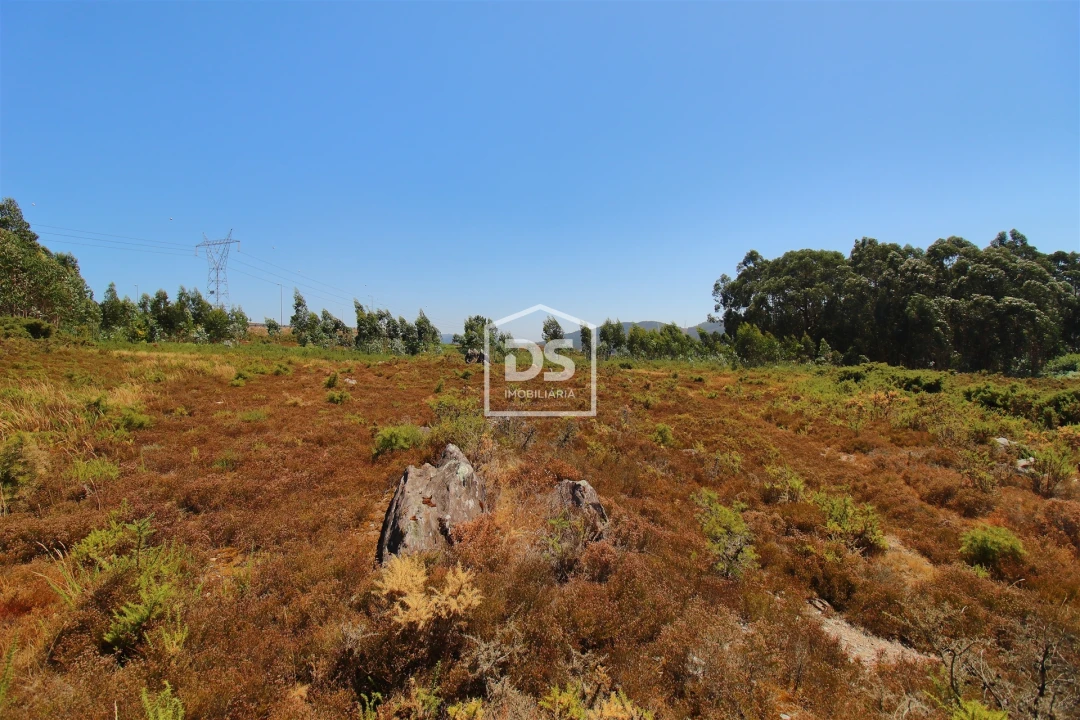 Terreno para Venda em Campo e Sobrado Foto 1