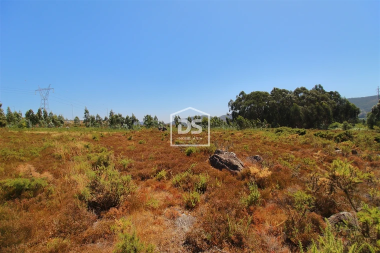 Terreno para Venda em Campo e Sobrado Foto 2